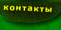 Контакты